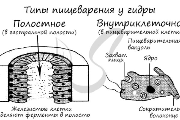 Ссылка на кракен в тор