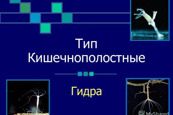 Кракен почему пользователь не найден